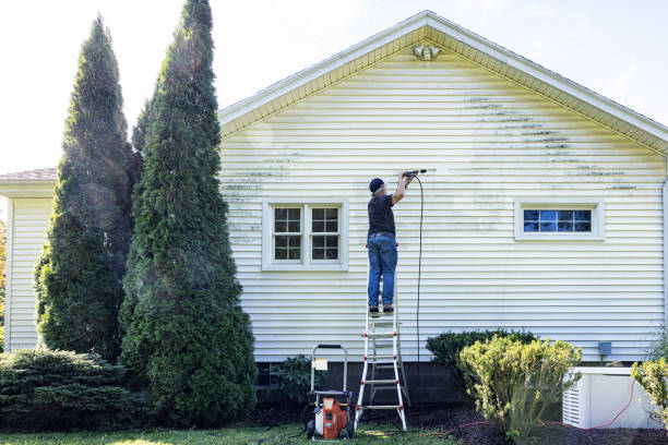 Best Rust Removal  in Boulder, CO